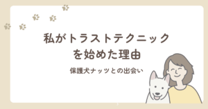 私がトラストテクニックを始めた理由